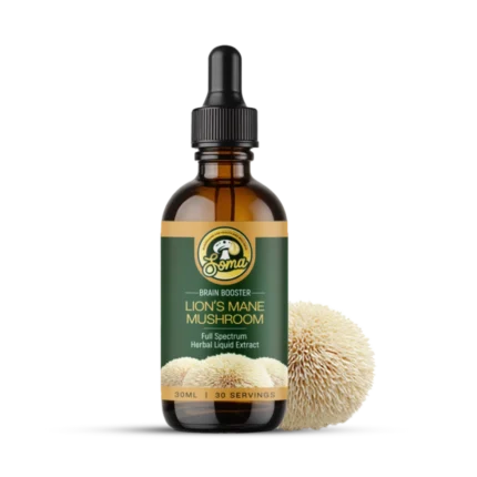 Lions Mane Liquid Mushroom Extract