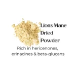 Lions Mane Dried Powder - Image 6