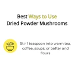 Lions Mane Dried Powder - Image 5