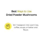 Organic Oyster Mushroom Powder - Image 4