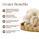 Farm Fresh Oyster Mushroom - Image 2