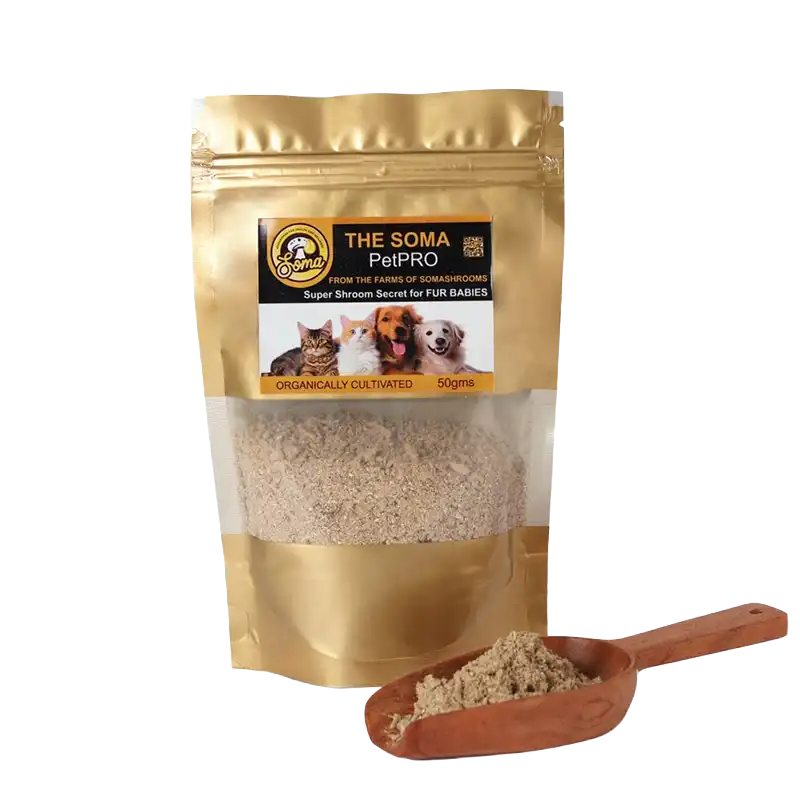 Pet-Product_1.webp Pet Mushroom Health Supplement - Image 1