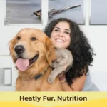 Pet Mushroom Health Supplement - Image 2