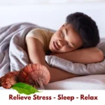 Reishi Dried Mushroom Powder - Image 2