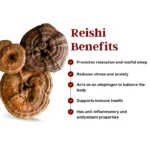 Reishi Dried Mushroom Powder - Image 6