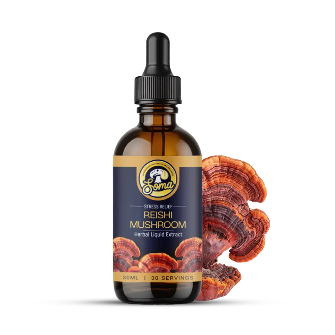 Reishi-Ganoderma-Lucidum-Extract_1.webp Reishi Liquid Mushroom Extract - Image 1