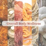 Super Mushroom Blend Extract - Image 7