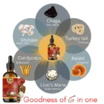 Super Mushroom Blend Extract - Image 5