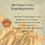 Cordyceps Whole Dried 30gm - Image 4