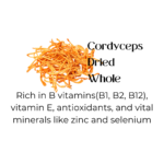 Cordyceps Whole Dried 30gm - Image 3